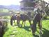 Equiloisirs